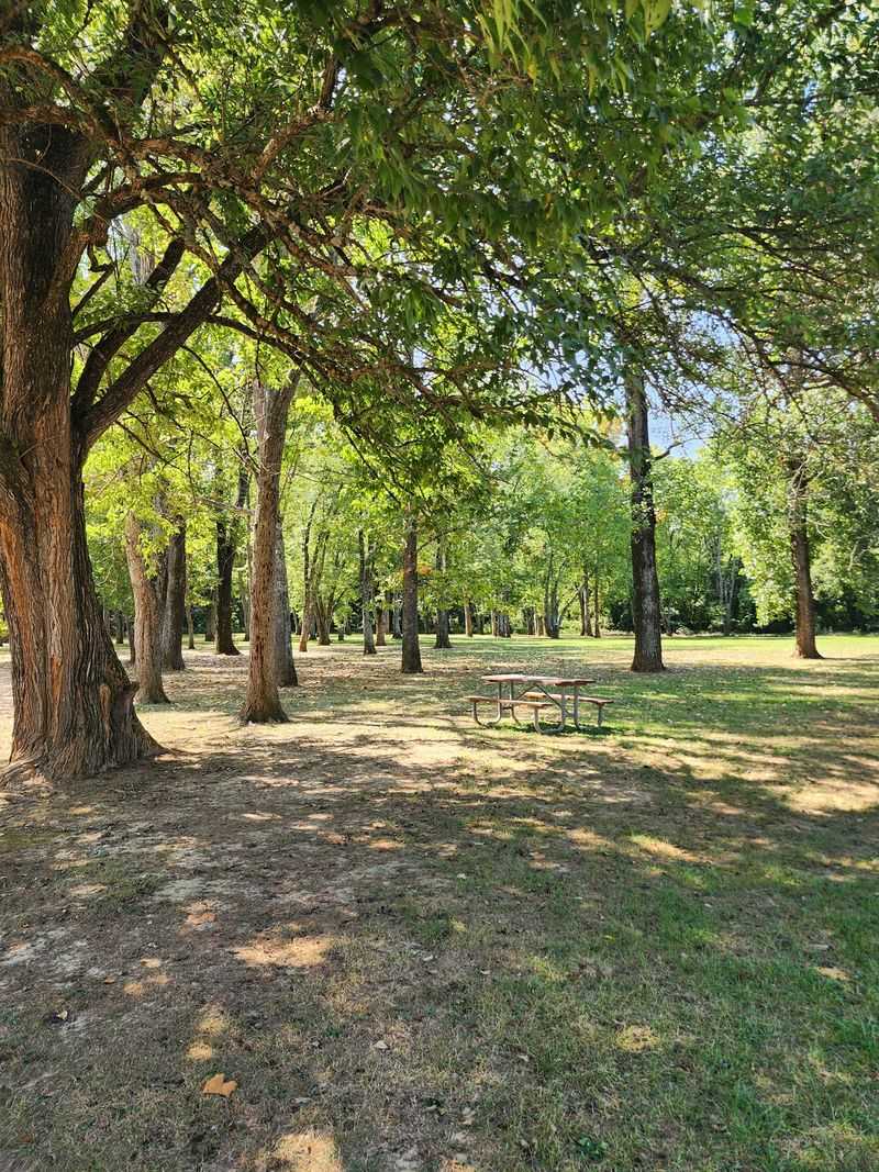 Picnic Grounds Built For A Lazy Lunch
