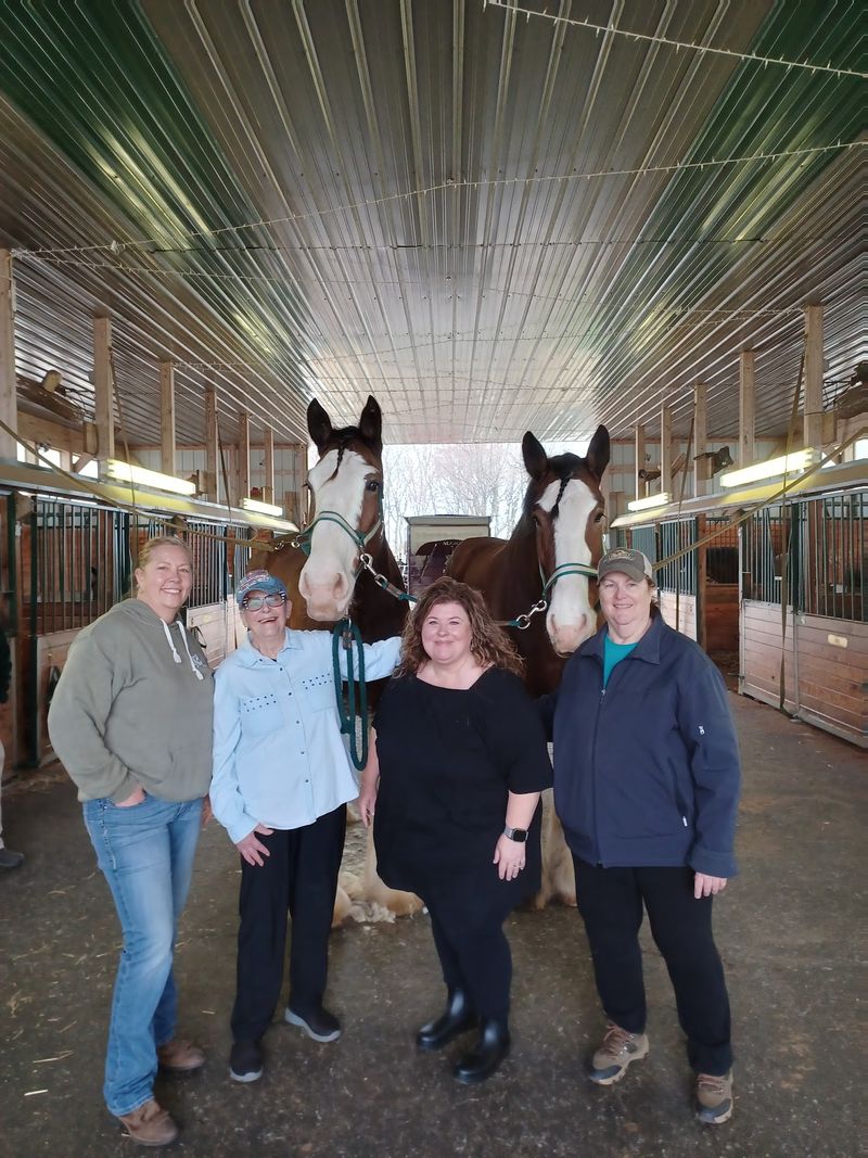 A Southern Maryland Barn Full Of Gentle Giants