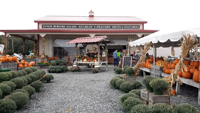 A Farm Market Worth Leaving The Highway For