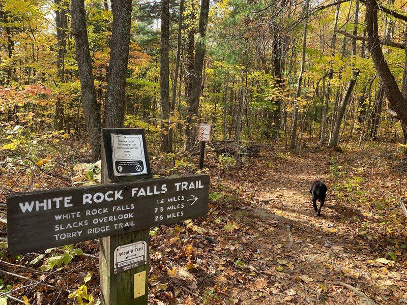 Follow the Water on White Rock Falls Trail