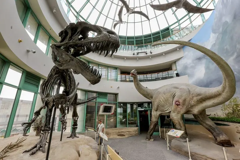 North Carolina Museum of Natural Sciences