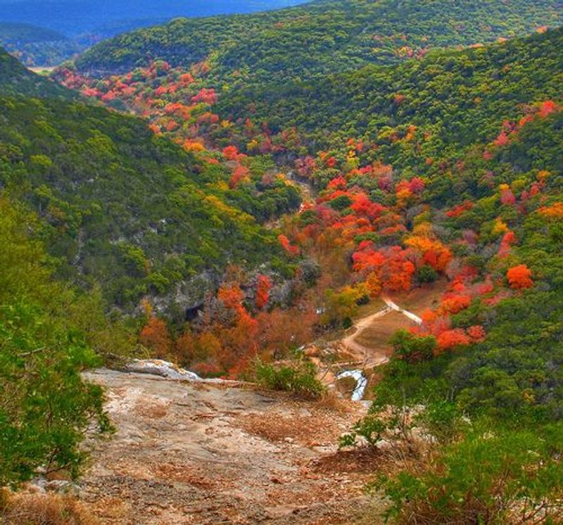 Lost Maples State Natural Area