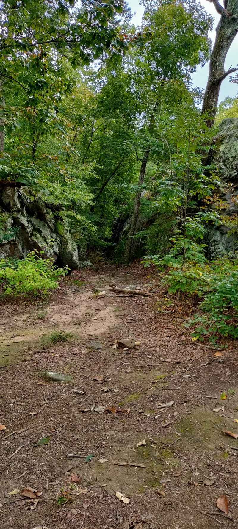 The Walk In Is Short, So Save Your Energy For Exploring
