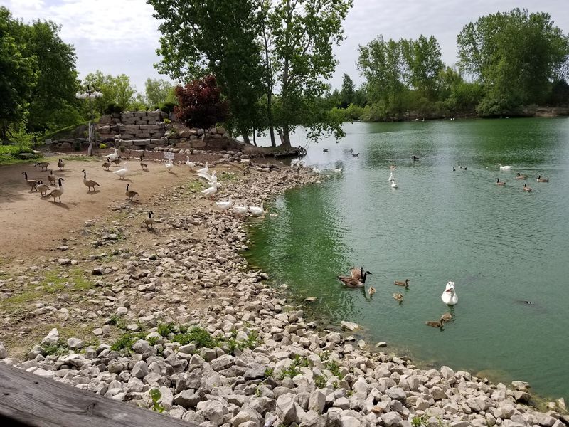 Pack A Picnic For The Pond And Pavilion