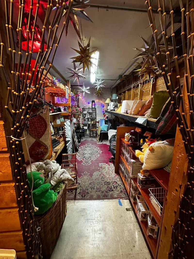 Browse for a Cause at APA! Thrift on Burnet