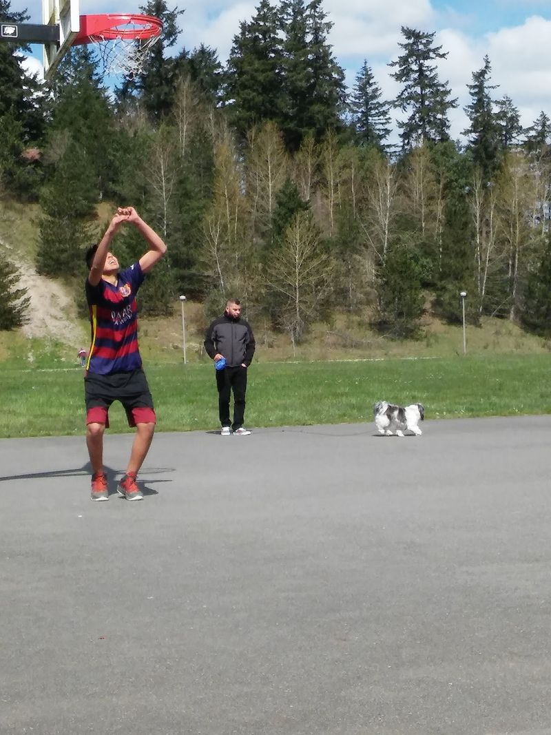 Courts For Every Kind Of Ball Game