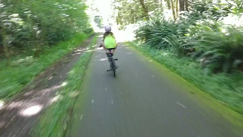 An Old Logging Railroad That Traded Trains For Bikes