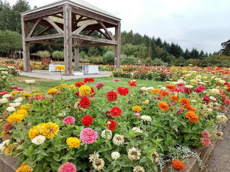 Eighty Acres Of Garden Rooms Waiting Just Off Main Street
