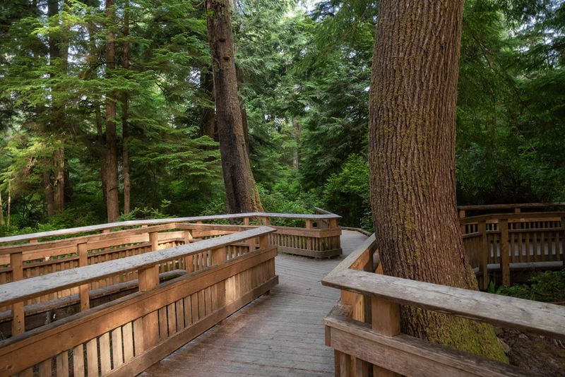 A Forest Pocket Right Off Highway 101 That Most Drivers Zoom Past