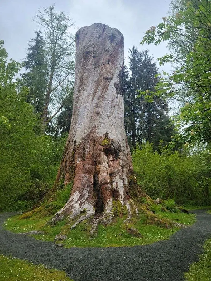 A Riverside Pull-Off With A Giant Story
