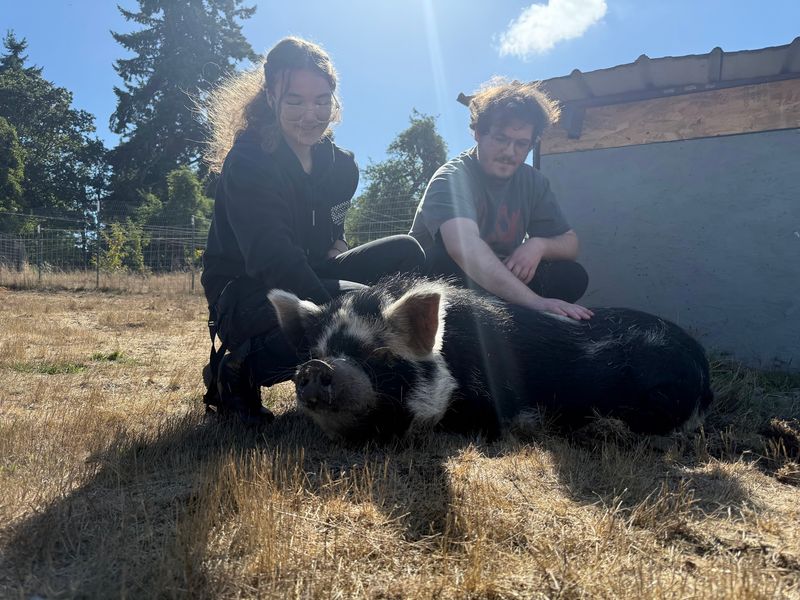 A Small Farm Sanctuary Where Every Animal Gets A Name