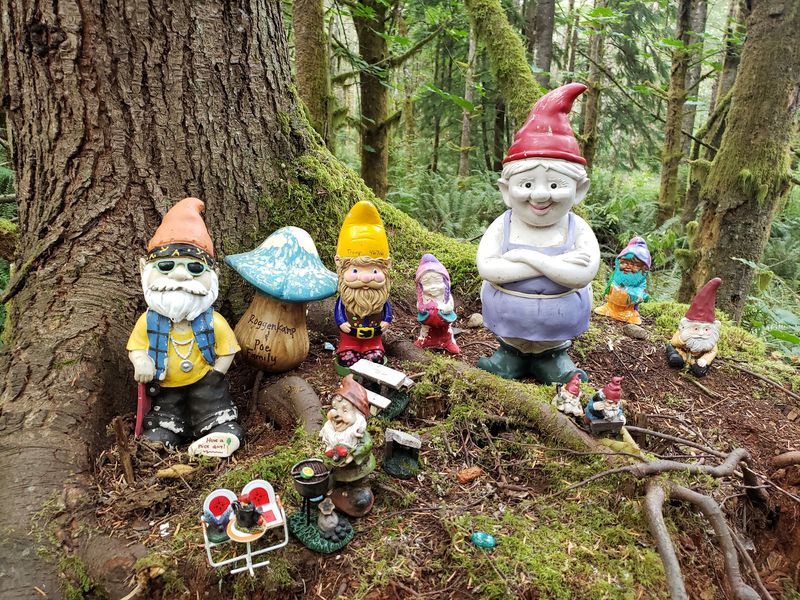A Forest Full Of Tiny Neighbors Waits In Maple Valley