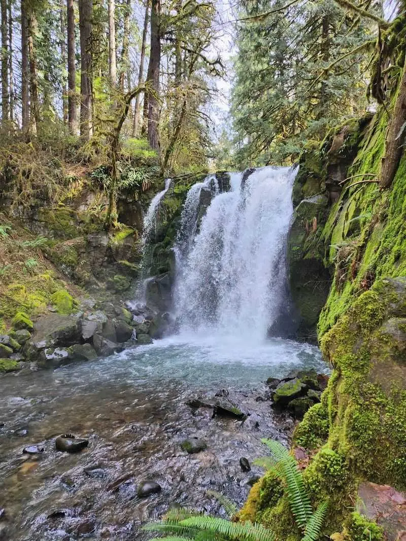 A Free Waterfall Park Waiting Just Outside Lebanon