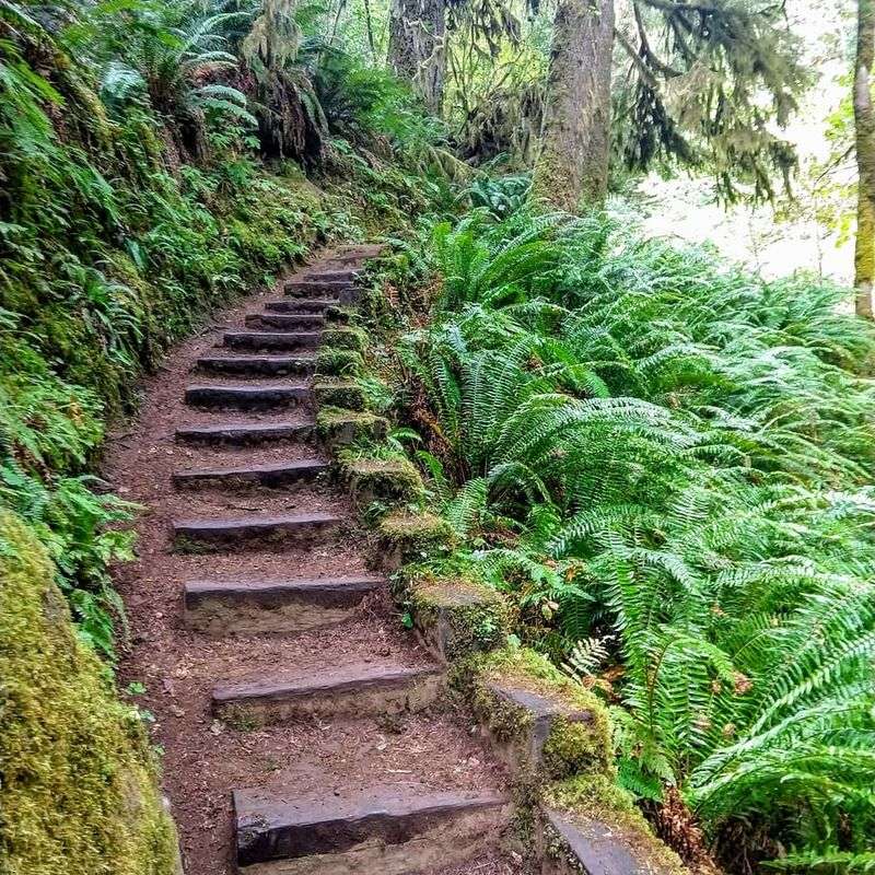 A Forest Trailhead Way Out On Sweet Creek Road