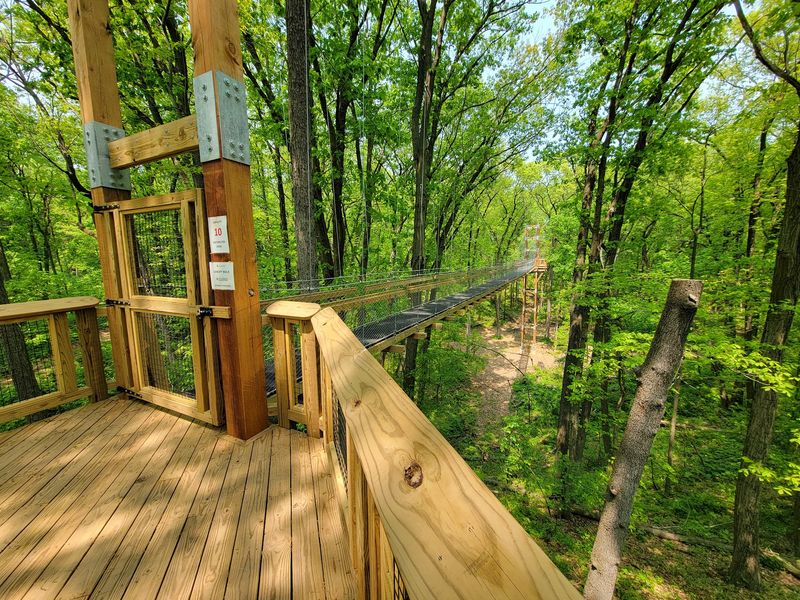 Your Whole Crew Can Roll Right Up Into The Treetops