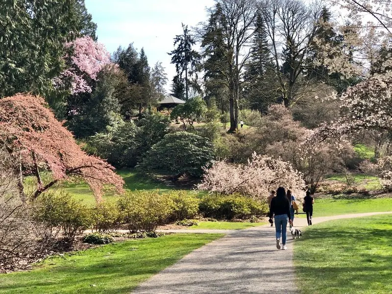 A Free 230-Acre Garden Sitting Right On Lake Washington
