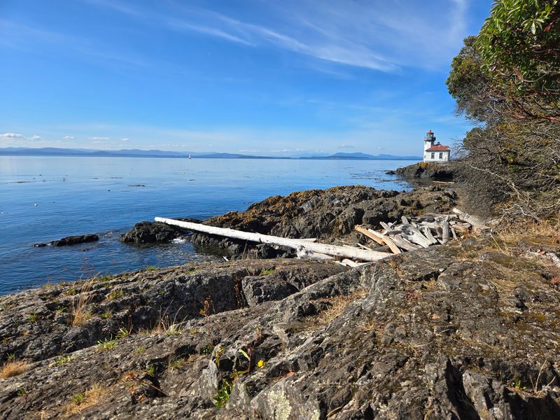 A Rocky Island Edge Built For Whale Watching