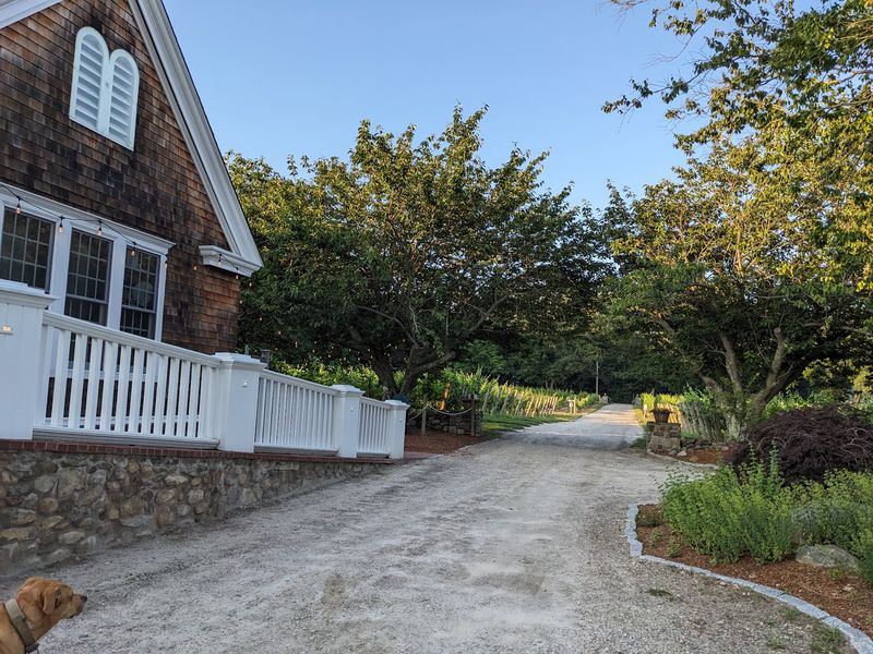 After Dessert, The Vineyard Becomes Your Backyard