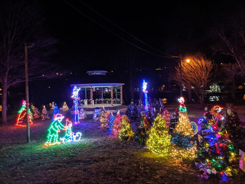 More Than 40 Decorated Trees Turn A Park Into A Story Walk