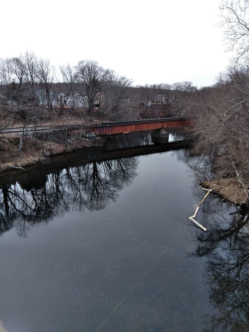 Make It A Full Frog Adventure Around Willimantic