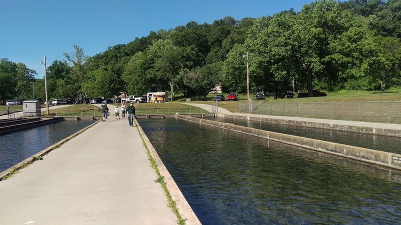 The Hatchery Behind All Those Trout