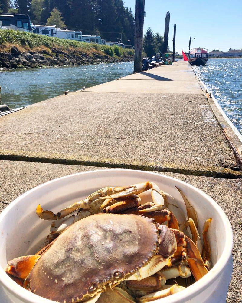 The Dockside Station Where Your Catch Turns Into Supper