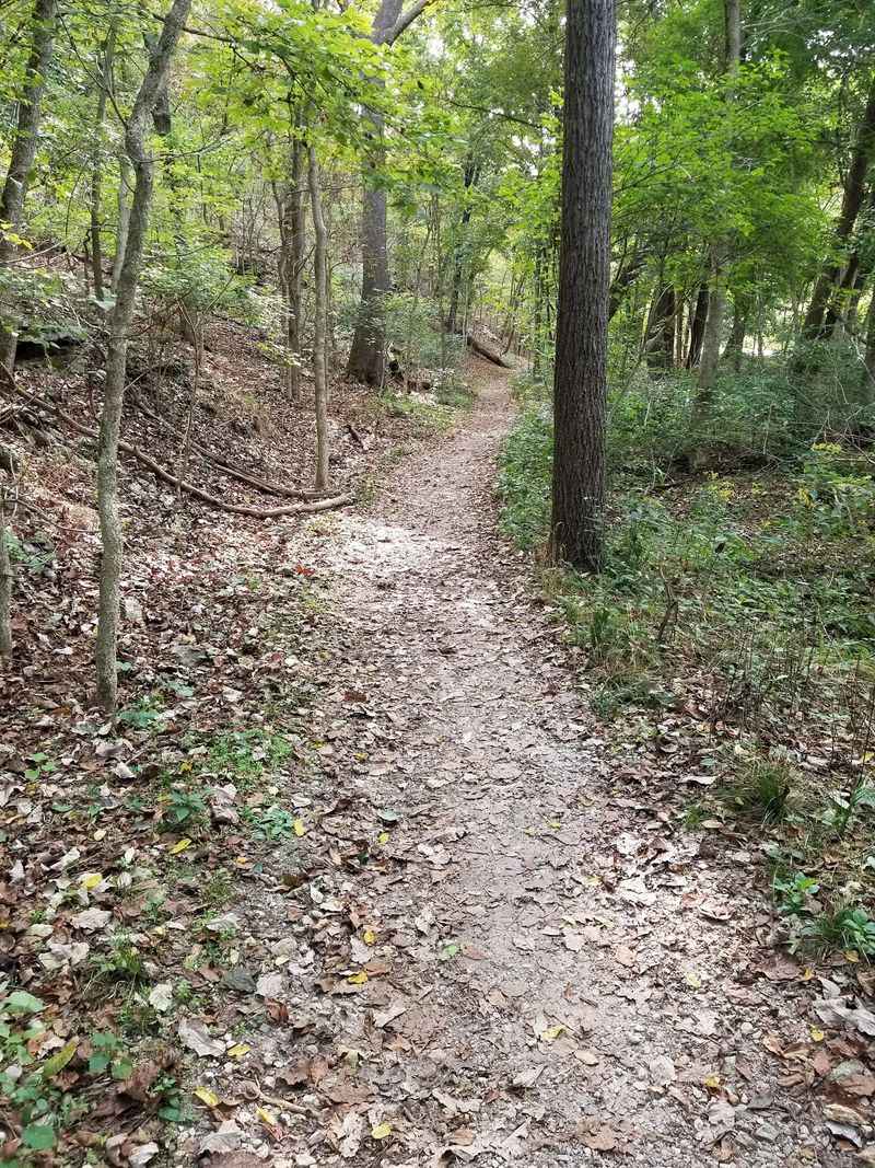 Turn Left At The Kiln, Most Hikers Will Tell You