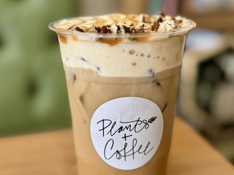 Plants + Coffee, Easton