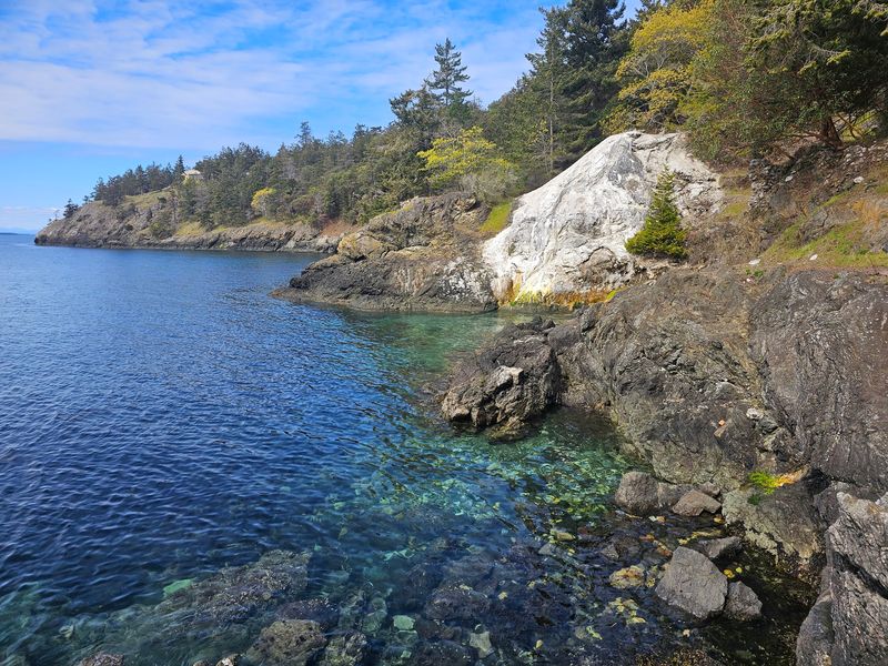 Tide Pools, Sea Lions, And A Fox Or Two