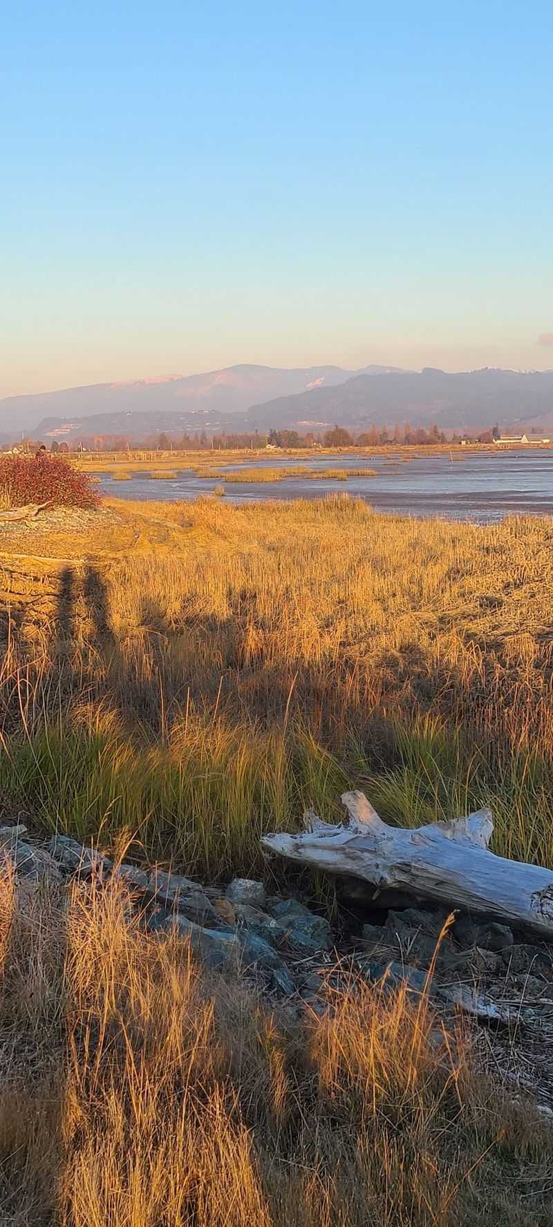 Restored Land With A Second Life