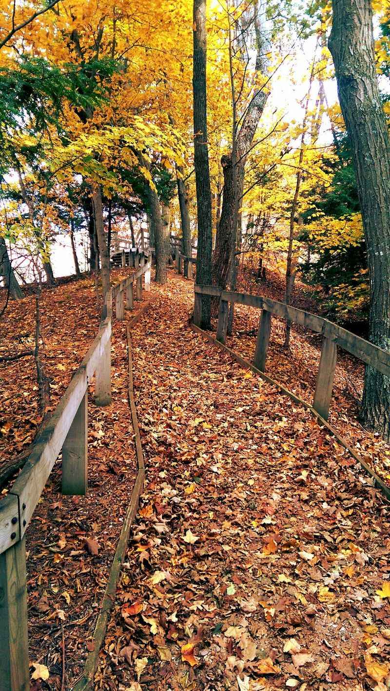 A Family Walk Built Around Small Victories