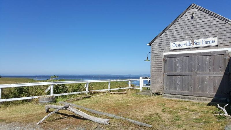 A Bayside Village At The Quiet End Of The Peninsula
