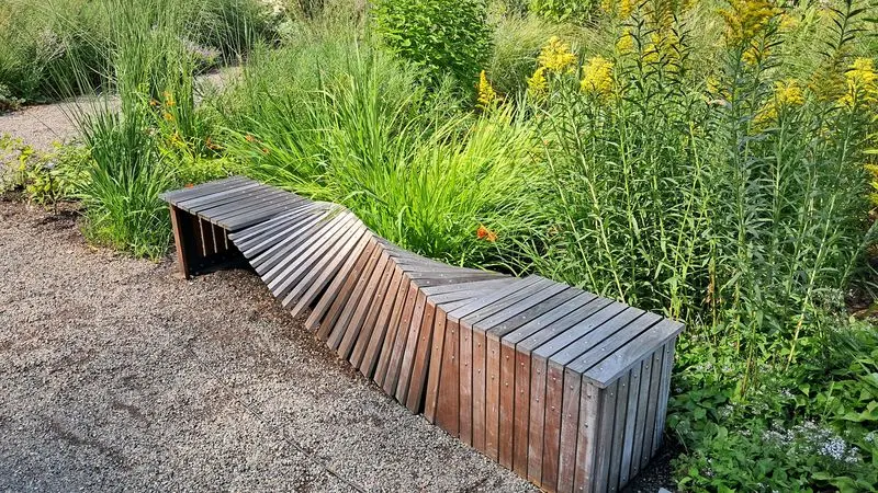 Slow Down On A Bench And Let The Forest Do Its Thing