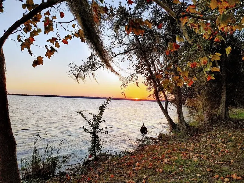 Three Rivers State Park - Sneads
