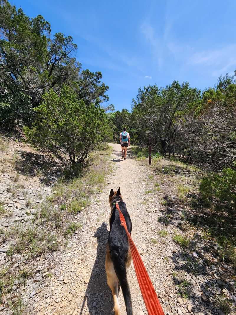 Follow a Trail Toward a Bigger View