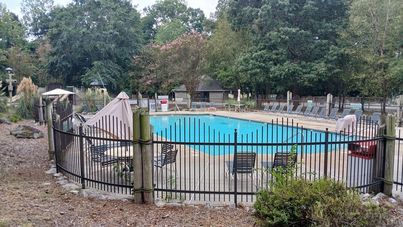 Give Hot Afternoons a Pool Break
