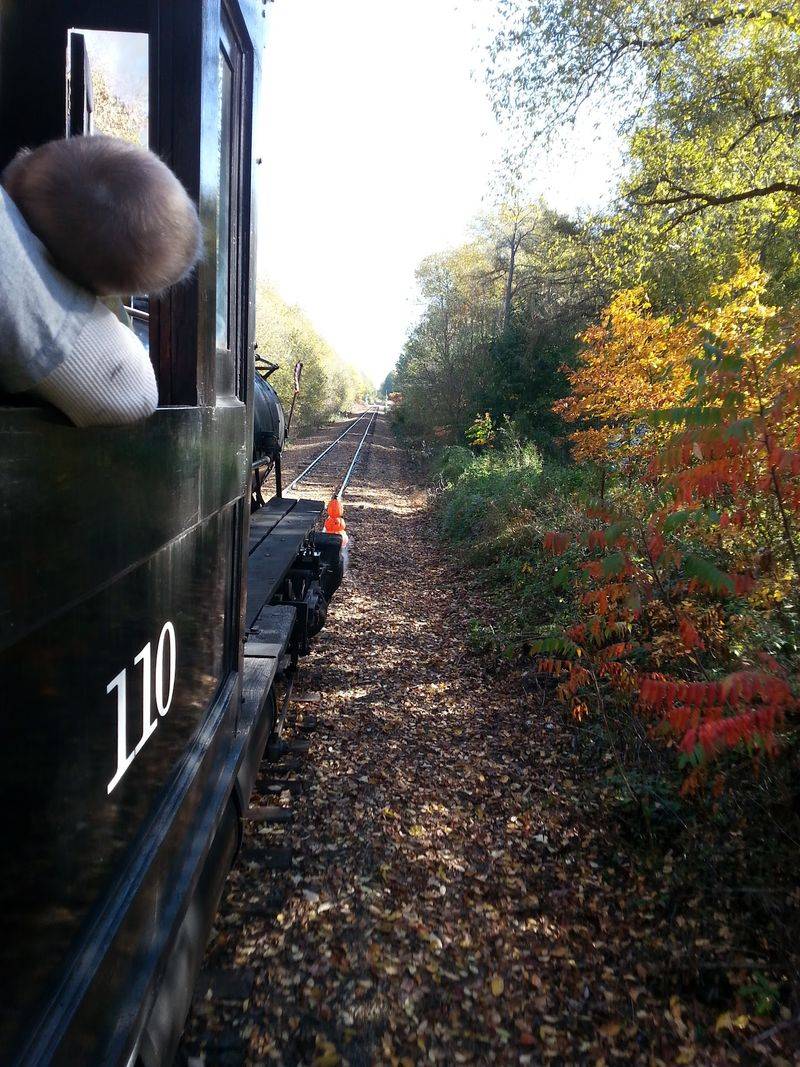 Build Your Afternoon Around the Actual Timetable