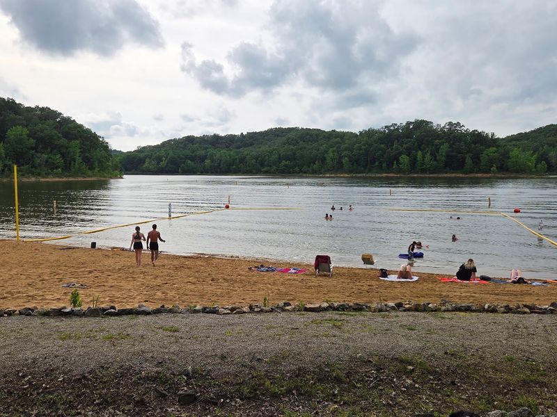 Swim Beach Afternoons And Shady Playgrounds