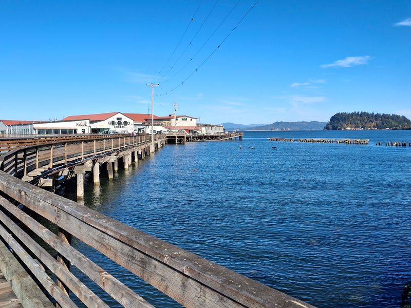 You'll Probably Hear The Sea Lions First