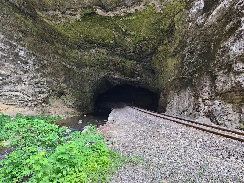 Stand Before A Tunnel A Creek Built By Itself