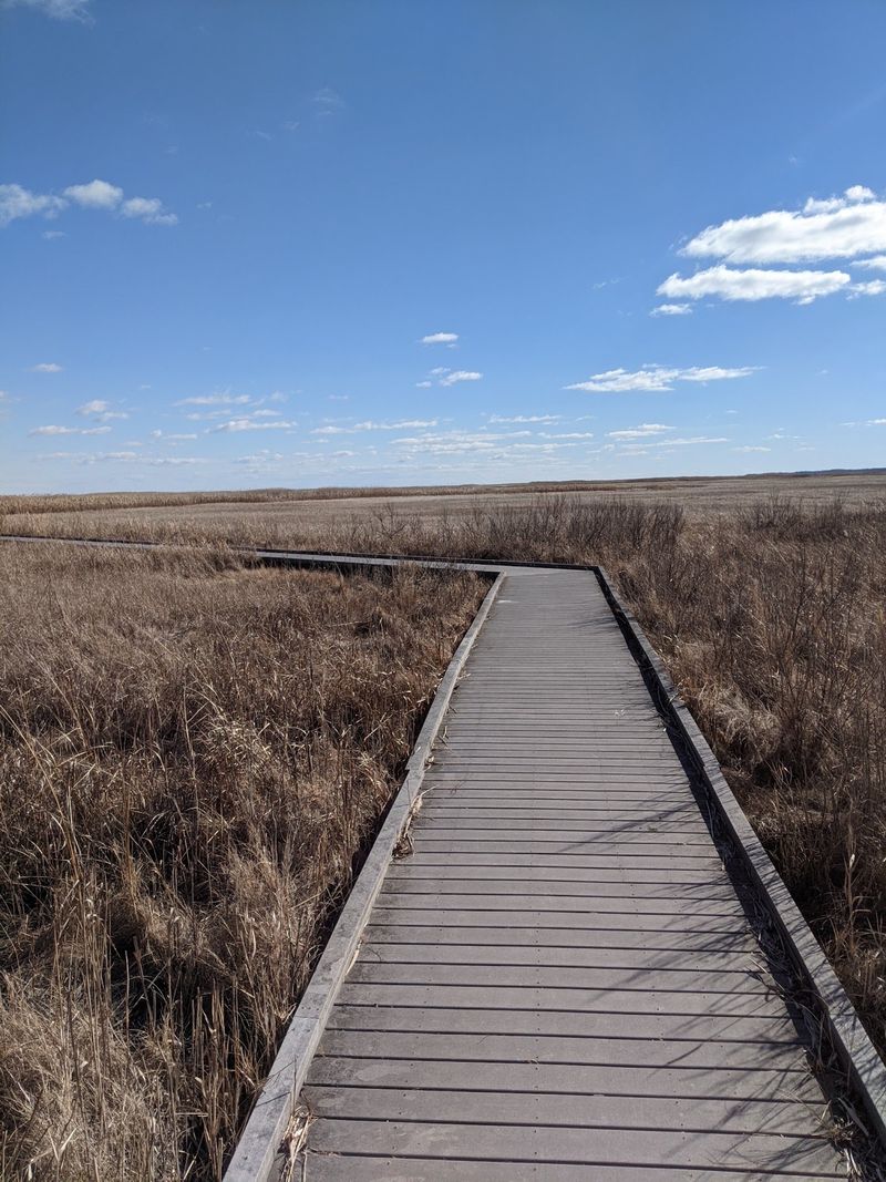 Bombay Hook National Wildlife Refuge