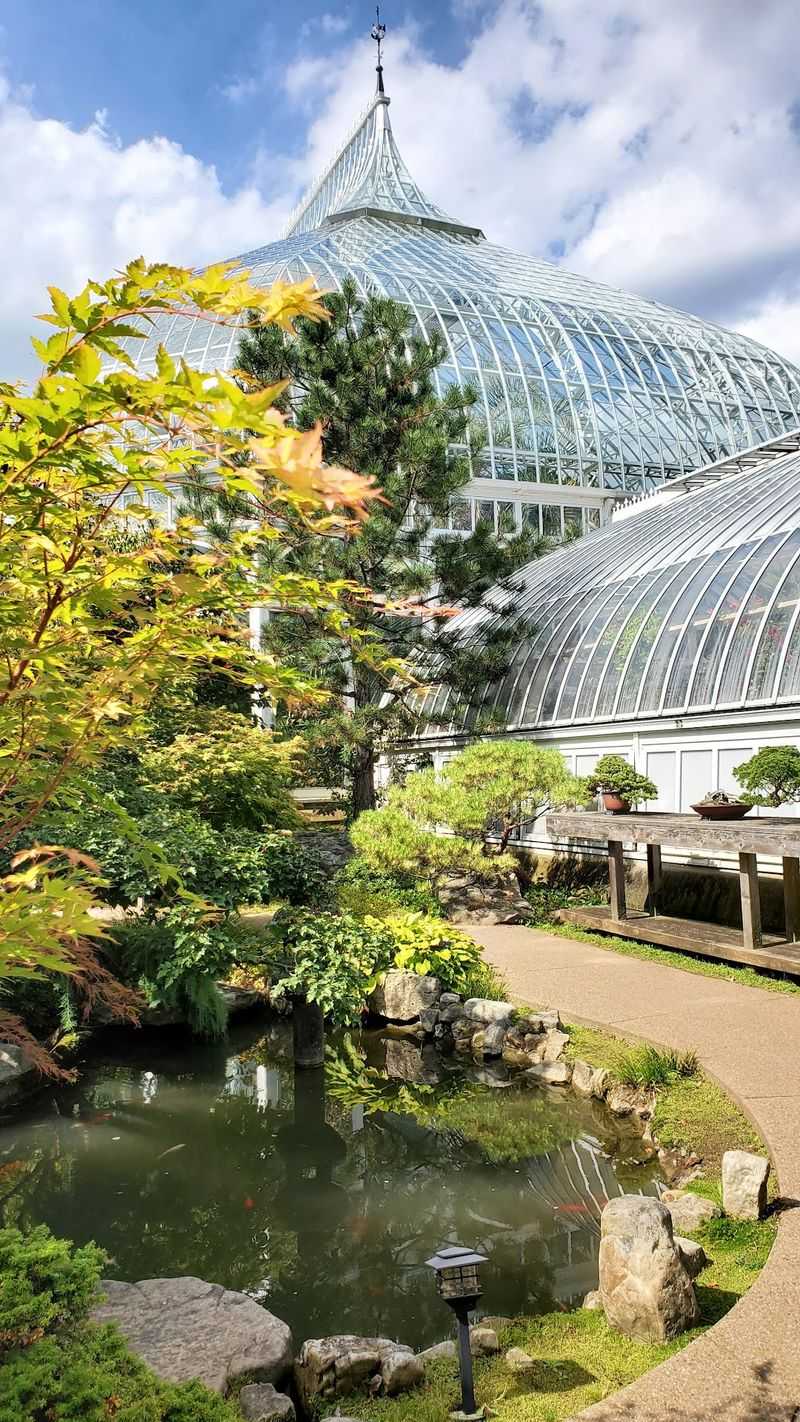 Tiny Trains Chug Through A Leafy Wonderland