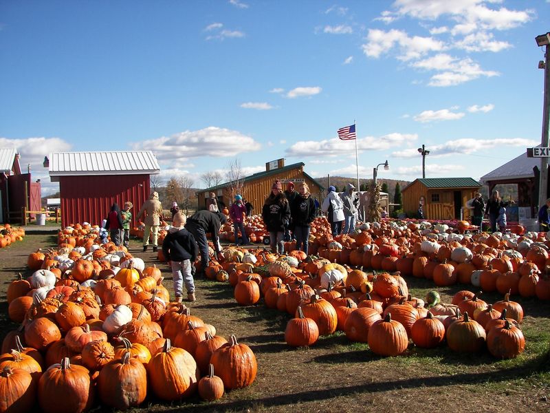 Roba Family Farms, North Abington Township, Lackawanna County
