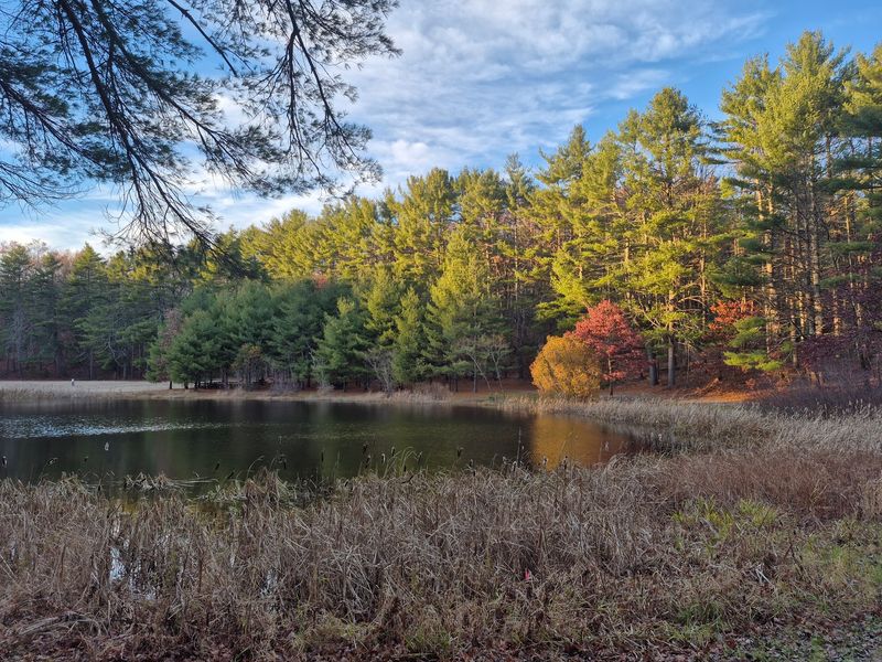 Pair Fishing With Peak Fall Scenery