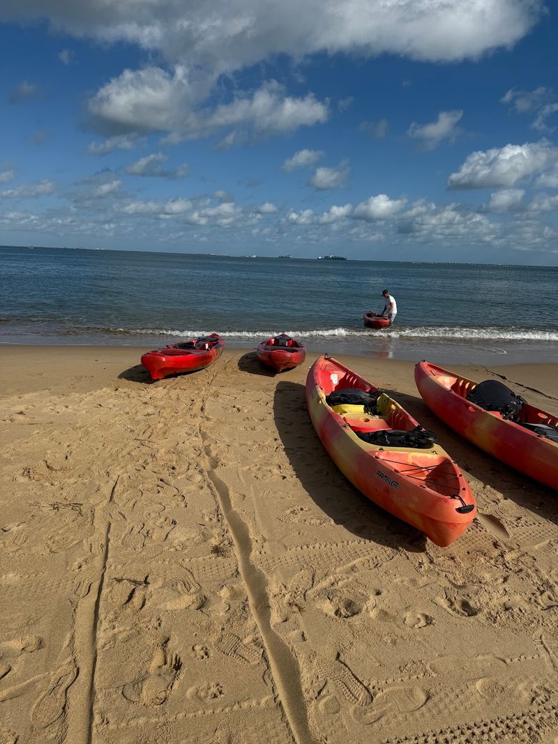 Add a Paddle When the Family Is Ready