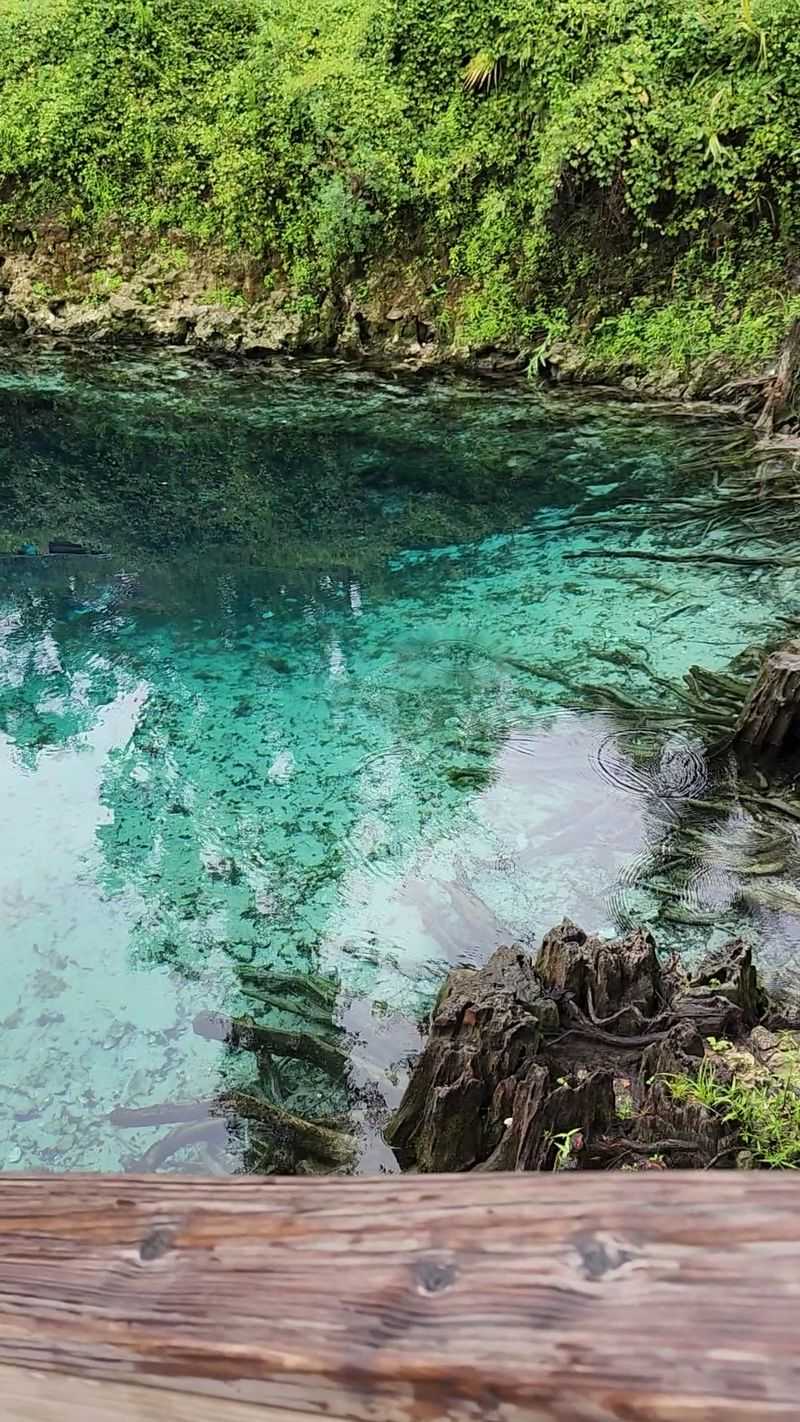 Watch Clear Water Crash Into A Tea-Colored River