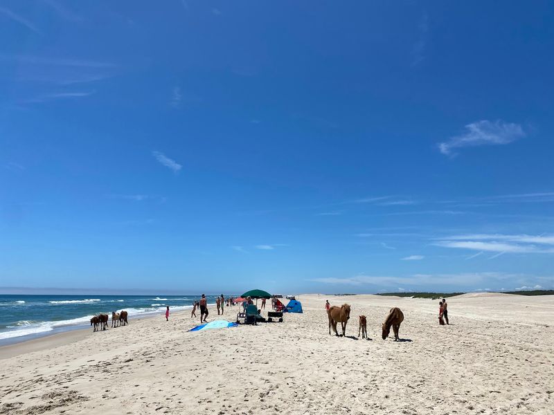 Fees, Passes, And Beating The Summer Rush