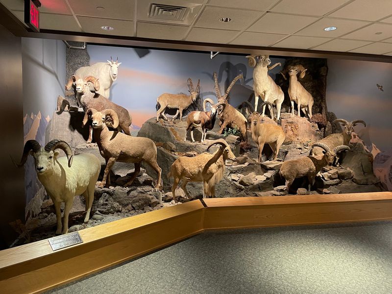 The Oakes Museum of Natural History
