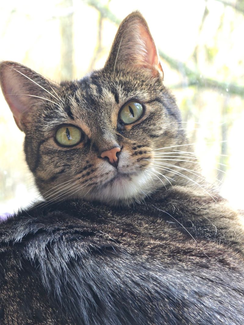 An Adoption Process That Moves Faster Than You'd Think