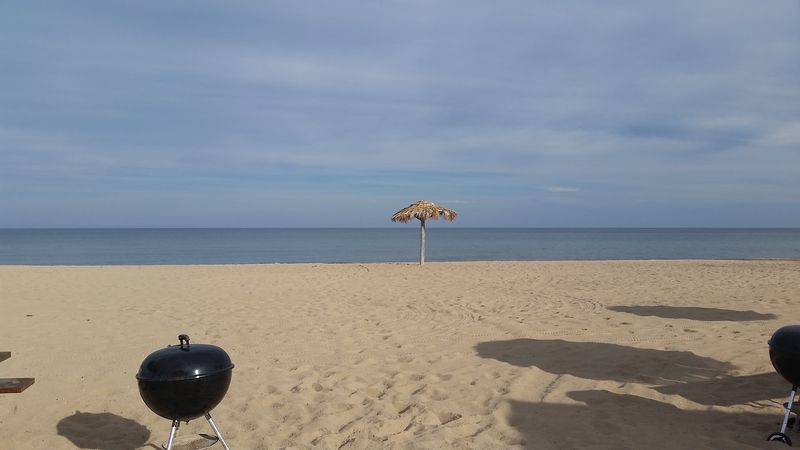 Spend The Day Swimming In Freshwater